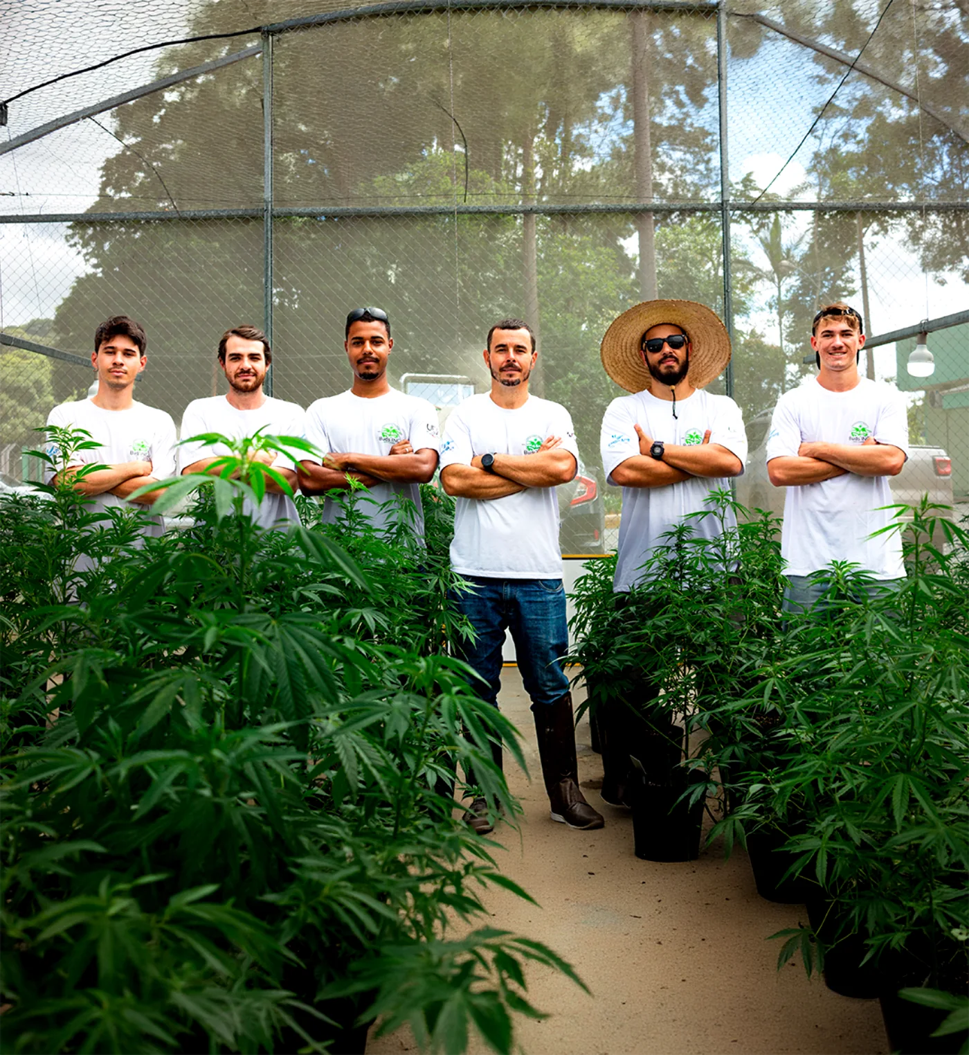 Equipe Buds INC. na casa de vegetação